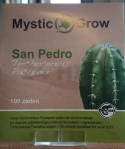 San Pedro Seeds (Trichocereus Pachanoi)