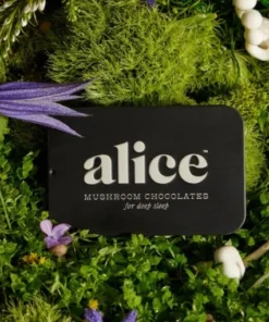 Alice Mushrooms NightCap – 2 Tins (32 Doses)