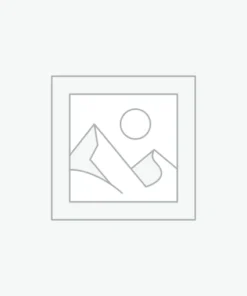 Alice Mushrooms – Brainstorm Chocolate For Sharp Focus