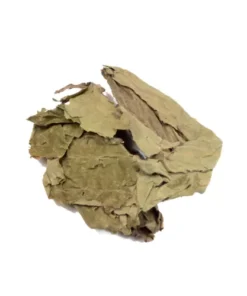 Salvia Divinorum Leaves (300 Grams)